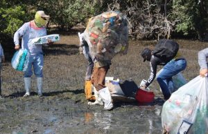 Retiran 400 kilos de plásticos de isla Tachichilte en Angostura