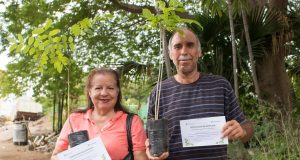 Ayuda a plantar vida; “Adopta un Árbol” ya comenzó