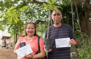 Ayuda a plantar vida; “Adopta un Árbol” ya comenzó