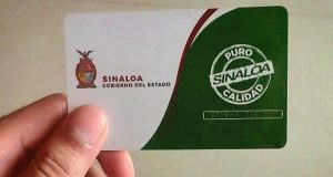 Inicia el 30 de agosto expedición de la tarjeta de estudiante para transporte público