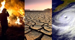 El cambio climático podemos y debemos detenerlo, asegura legisladora priísta