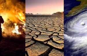 El cambio climático podemos y debemos detenerlo, asegura legisladora priísta