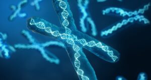 ¿Cuándo es hereditario el cáncer?