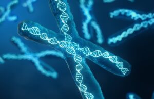 ¿Cuándo es hereditario el cáncer?