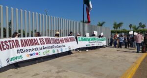 Se manifiestan instituciones zoológicas en el Congreso, piden ser tomados en cuenta en leyes de bienestar animal