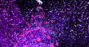 Llega la magia a Culiacán, hoy se encendió el Árbol Navideño