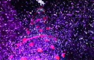 Llega la magia a Culiacán, hoy se encendió el Árbol Navideño