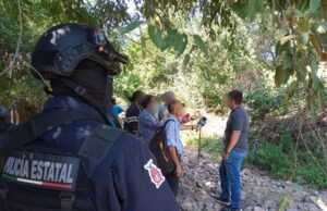 Buscan león por los rumbos de “El Barrio” en Culiacán