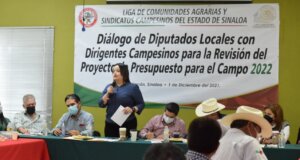 El presupuesto al campo es un castigo, critica Cinthia Valenzuela, diputada del PRI