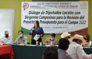 El presupuesto al campo es un castigo, critica Cinthia Valenzuela, diputada del PRI