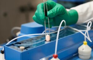 Autoriza EU uso de la píldora antiCovid de Pfizer