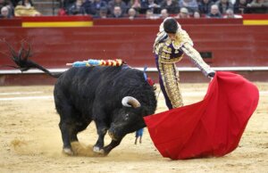 Prohíben diputados de Sinaloa corridas de toros; ratificaron el decreto 581