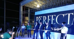 Conoce Perfecta Stones, y encuentra el recubrimiento de ónix, mármol o granito de tus sueños