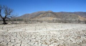 Uso de agroquímicos y riego excesivo han degradado el suelo de Sinaloa