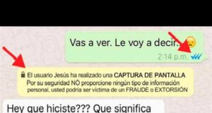 WhatsApp y su tercera palomita azul, ¿para qué es?