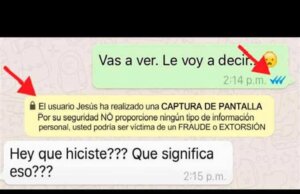 WhatsApp y su tercera palomita azul, ¿para qué es?