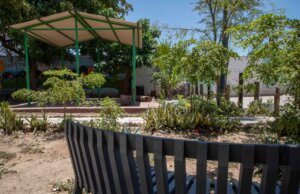 Premian a nivel nacional proyecto social de Sociedad Botánica y Zoológica de Sinaloa IAP