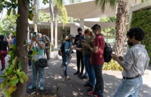 Invita Jardín Botánico Culiacán a participar en el City Nature Challenge 2022