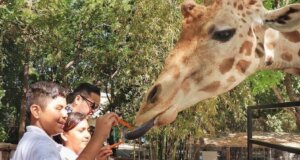 Celebra el Zoológico de Culiacán el Día del Niño este sábado