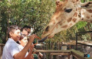Celebra el Zoológico de Culiacán el Día del Niño este sábado