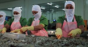 Rocha informa la exclusión del Camarón en el tratado de libre comercio con Ecuador