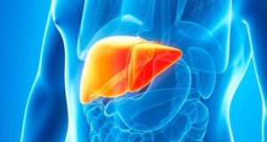 Hígado graso: un padecimiento que afecta a niños y adultos