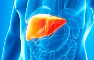 Hígado graso: un padecimiento que afecta a niños y adultos