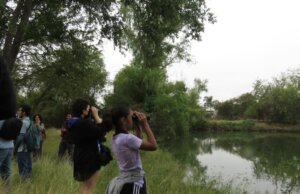 Obtiene Culiacán el tercer lugar nacional en el City Nature Challenge 2022