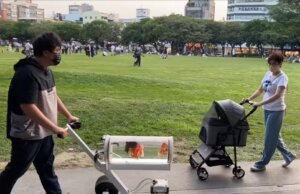 VIDEO: Youtuber crea carreola para pasear a sus peces
