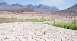 Solicita Sinaloa declaratoria de zona de desastre para municipios afectados por sequía
