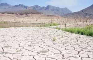 Solicita Sinaloa declaratoria de zona de desastre para municipios afectados por sequía