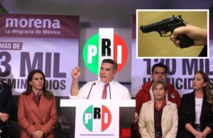 Presentará PRI iniciativa para que familias accedan a armas por seguridad
