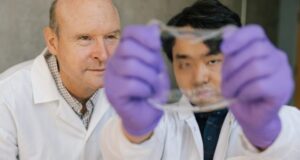 Científicos desarrollan una piel electrónica con la capacidad de “sentir”