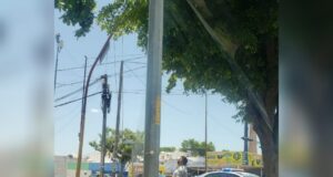 Aplausos para este agente de tránsito