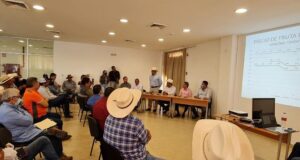 Atiende SAyG a productores de mango del sur de Sinaloa