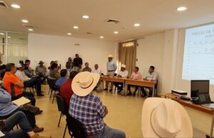 Atiende SAyG a productores de mango del sur de Sinaloa
