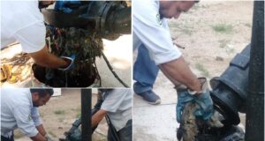 Pide JAPAC no tirar basura en las calles porque bloquean los drenajes