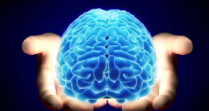 Día Mundial del Cerebro