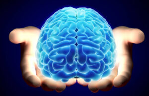 Día Mundial del Cerebro