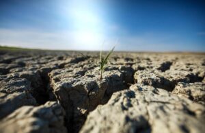 Morir de sed