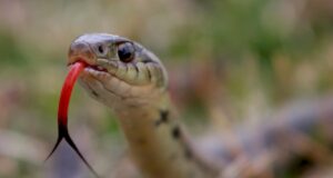 Hablar bien de las personas