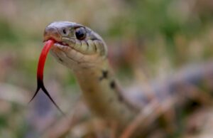 Hablar bien de las personas