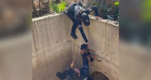 Perrito tenía dos días atrapado en un drenaje, hoy fue rascatado por policías