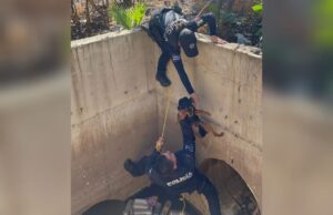 Perrito tenía dos días atrapado en un drenaje, hoy fue rascatado por policías