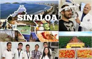 Este es el Sinaloa de hoy