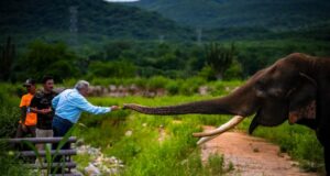 Visita Rocha el santuario de animales silvestres OSTOK