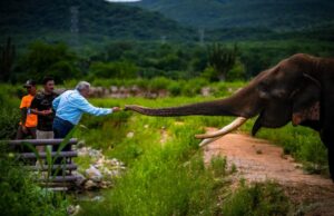 Visita Rocha el santuario de animales silvestres OSTOK