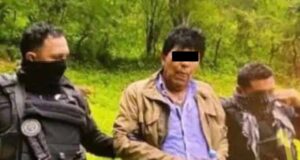 Genes del narcotráfico