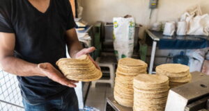 Precio de la tortilla se mantendrá en 23 pesos durante el resto del año, asegura Rocha