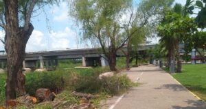 Centros deportivos y recreativos intensifican labores de mantenimiento y limpieza por temporada de lluvias